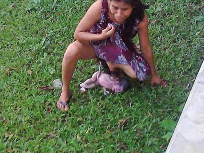 La carnde del anarquismo