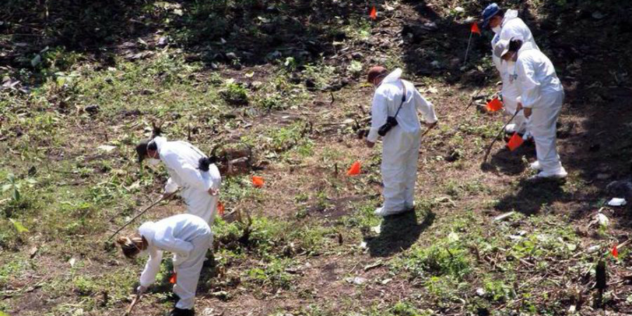 Los visitantes victimizados; política nacional