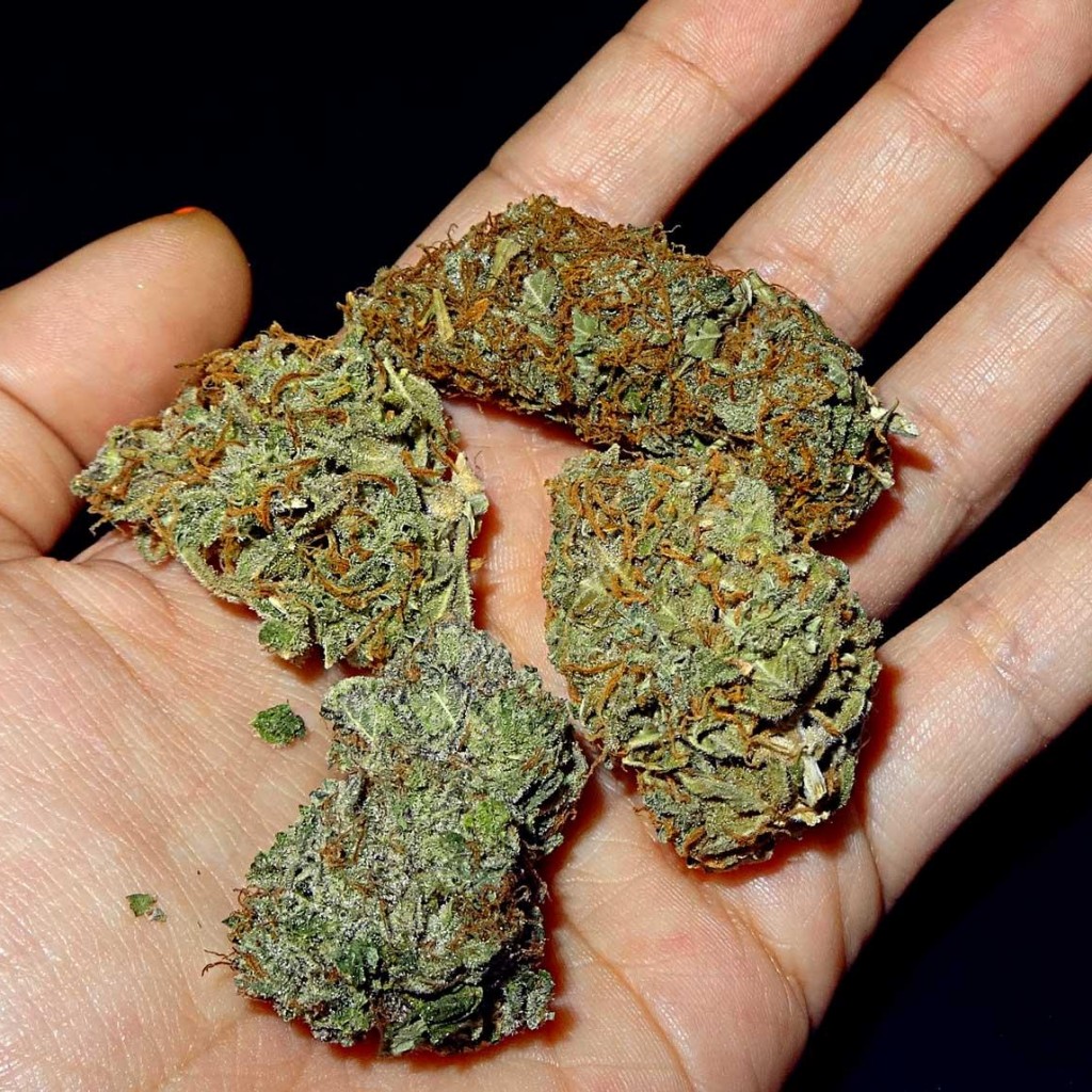 La mariguana y los otros pretextos