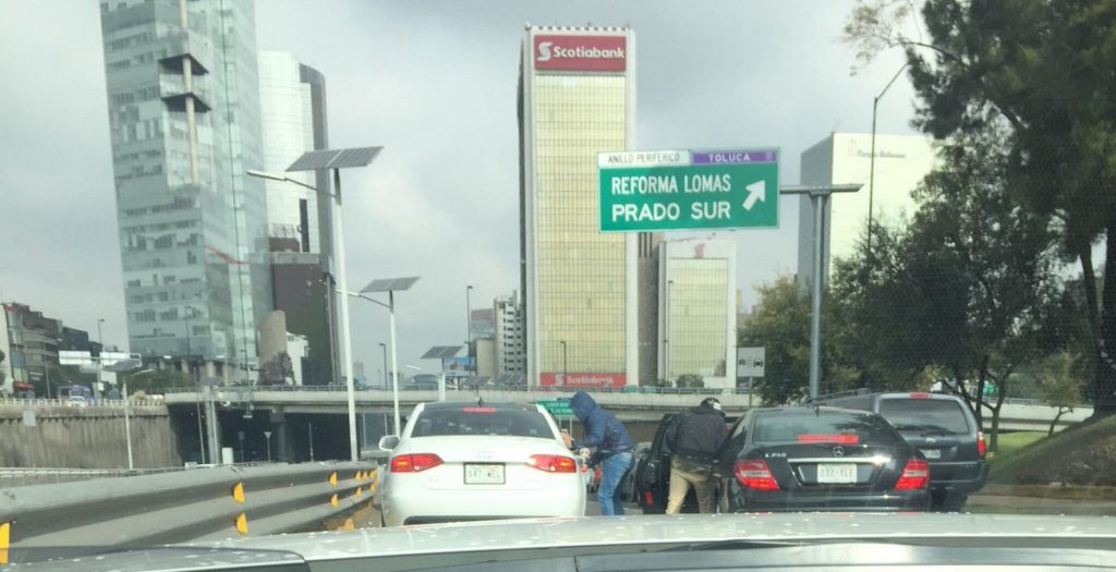 El miedo entre cucarachas