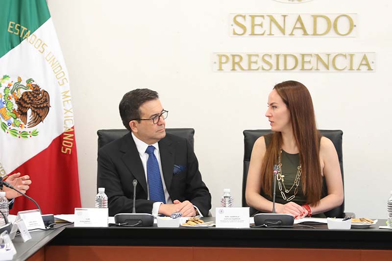 En la renegociación del TLCAN no vamos a ceder “sustancia por rapidez”, remarcó el secretario de Economía