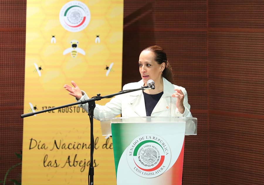 Celebran en el Senado el Día Nacional de las Abejas
