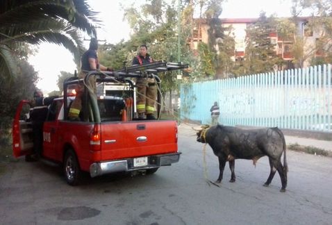 Monadas, campañas y despedida