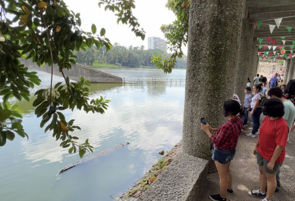 Liberan peces en laguna de Tabasco convertida en fosa séptica