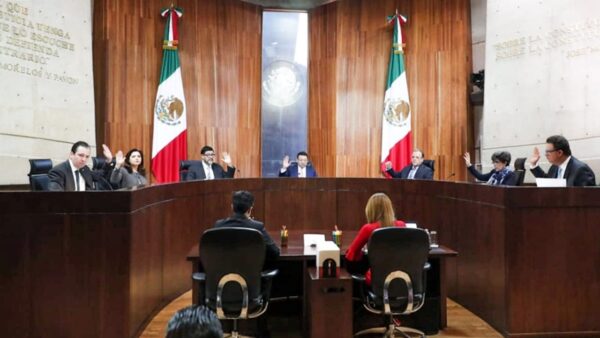 “Ya sabes quién”, frase usada por precandidatos de la 4T sí alude a AMLO: TEPJF