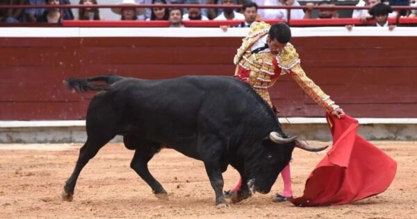 Una polémica interminable; argumentos falsos