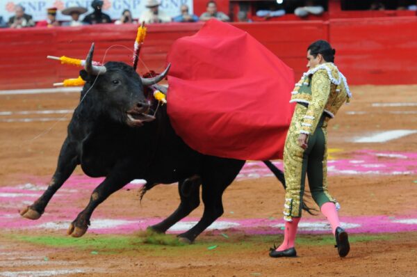 Jueza suspende de nuevo las corridas de toros en La Plaza México