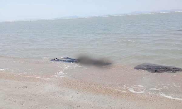 Hallan en playa de Oaxaca 8 cuerpos de migrantes chinos