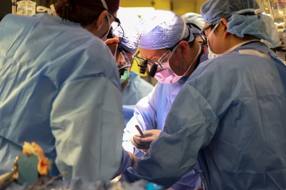 Dan de alta en EU a primer paciente en recibir riñón de cerdo genéticamente modificado
